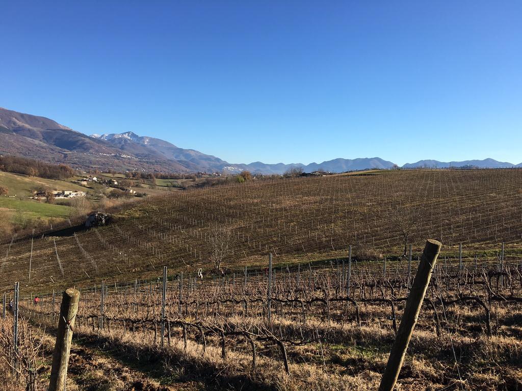 Agriturismo Di Charme Erbadoro Alvito المظهر الخارجي الصورة