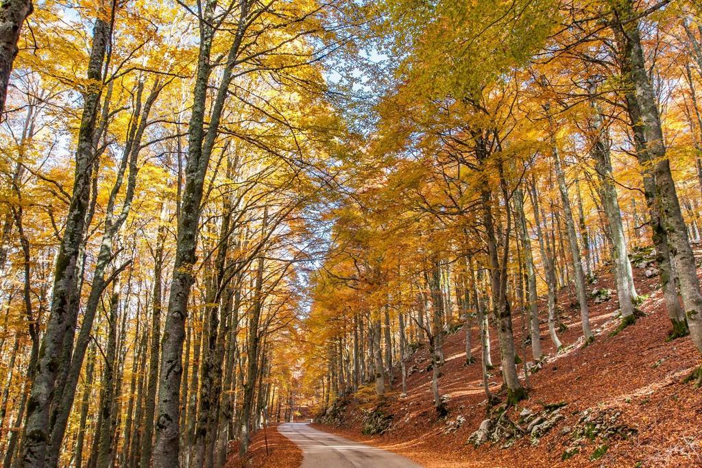 Agriturismo Di Charme Erbadoro Alvito المظهر الخارجي الصورة