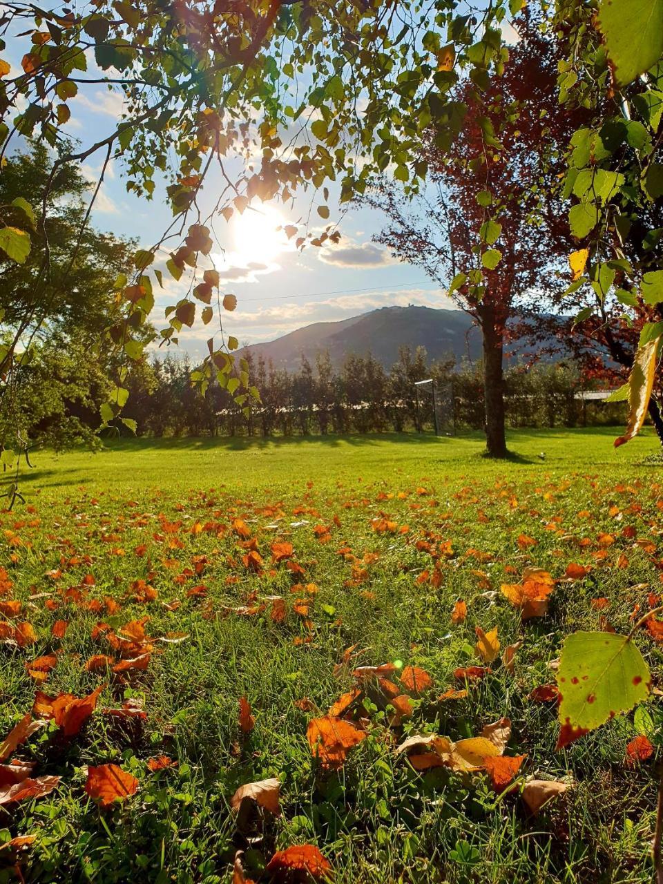 Agriturismo Di Charme Erbadoro Alvito المظهر الخارجي الصورة